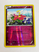 Flabebe  Flashfire 62/106 Reverse Holo Naer Mint