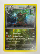 Fraxuer 110/162 XY Breakthrough Reverse Holo Pokemon Card NM