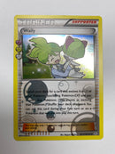 Trainer Wally RC27/RC32 Reverse Holo Pokemon Card Near Mint