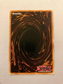 Yugioh Dogmatika Ecclesia, The Virtuous ROTD-EN005 1st Edition Starlight Rare NM