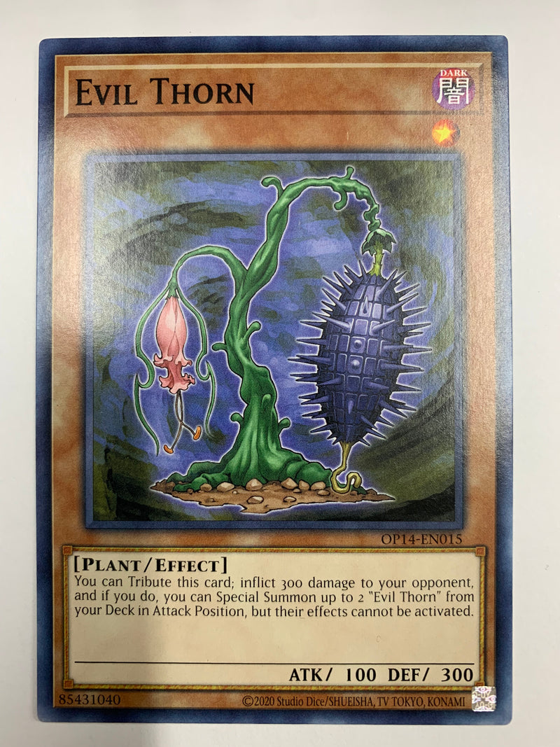 Evil Thorn OP14-EN015 Common Unlimited Edition Yugioh TCG Near Mint