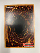 Evil Thorn OP14-EN015 Common Unlimited Edition Yugioh TCG Near Mint