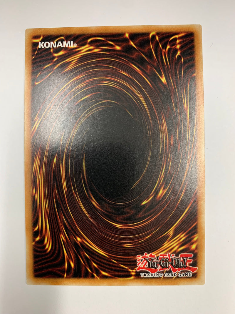 Evil Thorn OP14-EN015 Common Unlimited Edition Yugioh TCG Near Mint