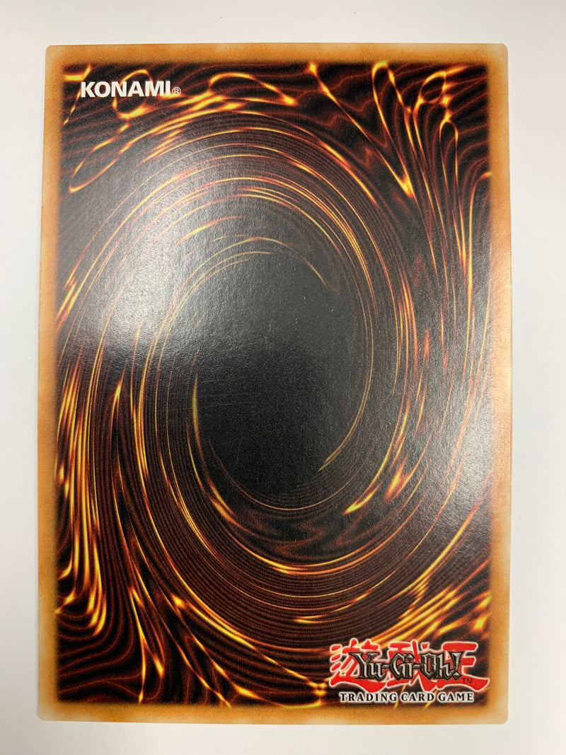 Void Ogre Dragon OP14-EN018 Common Yugioh TCG NM