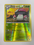 Amoonguss 13/114  Reverse Holo Pokemon Card  Near Mint