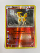 Ponyta 16/114 Reverse Holo Pokemon Card Near Mint