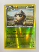 Seedot  9/114  Common Reverse Holo Pokemon Card Near Mint