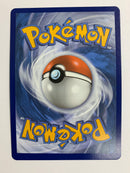 Blaziken VMAX 200/198 Chilling Reign Secret Rare Pokemon TCG NM