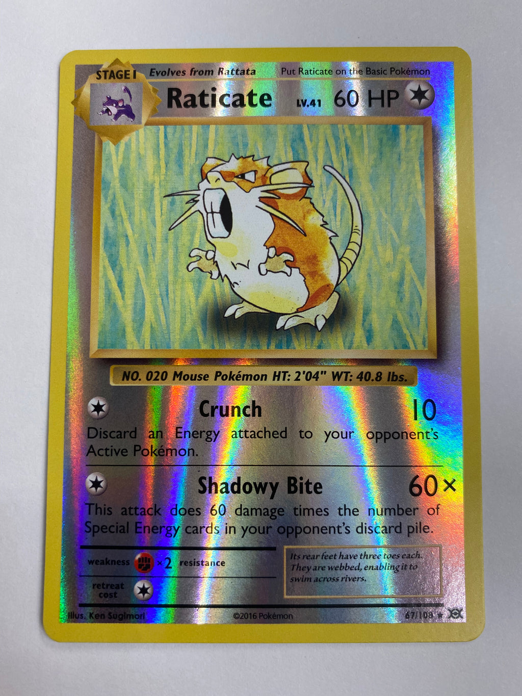 Raticate 67/108 XY Evolutions Pokemon Card Reverse Holo Near Mint Raticate 67/108 XY Evolutions Pokemon Card Reverse Holo Near Mint