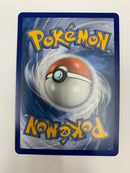 Dubwool V SV120/SV122 Pokemon Shining Fates Shiny Full Art Holo Rare NM/M