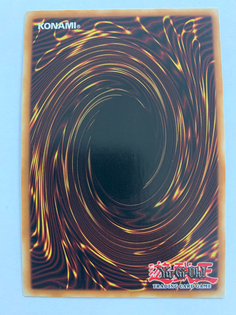 Aquaactress Arowana DRL2-EN041 1st Edition Super Rare NM