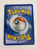 Terrakion  73/101  Holo Rare Pokemon Card Naer Mint