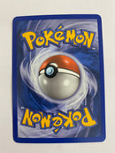 Poochyena 58/108 Reverse Holo  Pokemon Card Near Mint