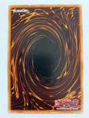 Marshmallon DPYG-EN015 Rare Unlimited YuGiOh TCG NM