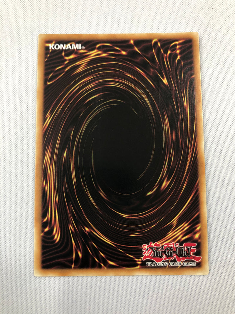 Yugioh Odd-Eyes Revolution Dragon ROTD-EN083 Secret Rare 1st Edition Near Mint