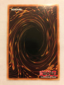 Yugioh The Phantom Knights of Torn Scales PHRA-EN003 Starlight Rare 1st Edition NM