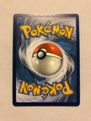 Stonjourner VMAX 205/202 Holo Secret Rare Pokemon Card Near Mint