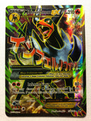 M Houndoom EX 154/162 Holo Rare Pokemon Card Near Mint