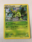 Sceptile 8/116 Plasma Freeze Holo Rare Pokemon Card Near Mint